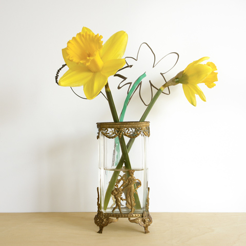 k staelin: daffodil series: daffodils V