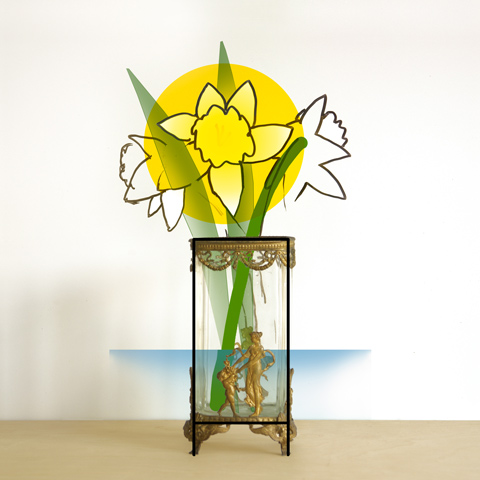 k staelin: daffodil series: daffodils VII